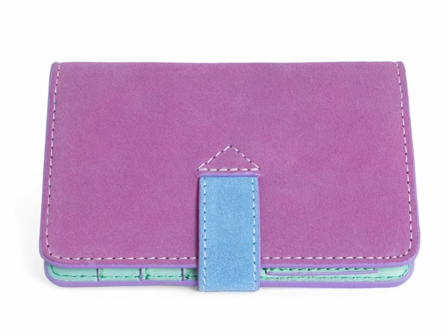 Fluevog Shoes Kiki Leather Passport Wallet in Pastel Multi | Stylish Travel Organizer